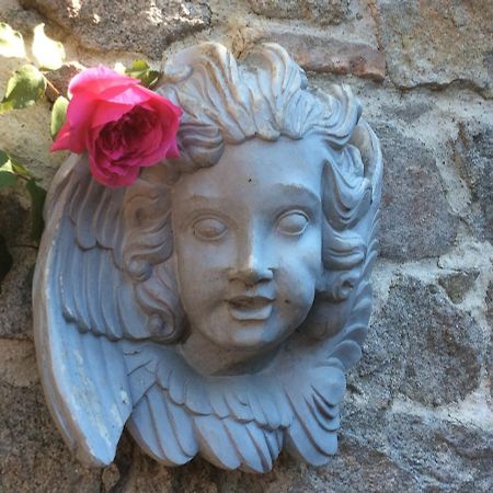 Le Logis Des Soeurs Grises Acomodação com café da manhã Guérande Exterior foto